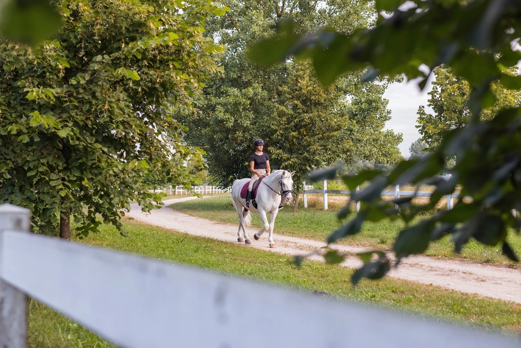 Diskret verkaufte Reitanlage am Starnberger See