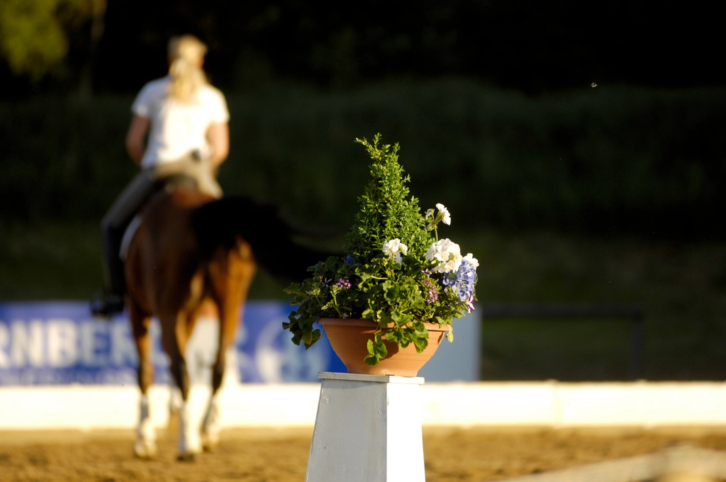 Reitanlage am Tegernsee